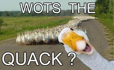 watsthequack.jpg