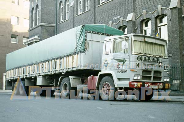 pegaso208019.jpg