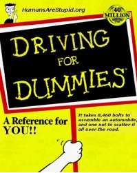 driving for dummies.png
