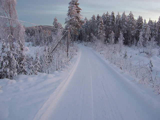 lappland life 103.JPG