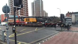 _88195325_shepbush1.png