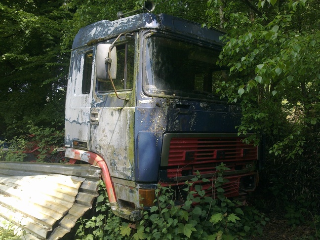 050.jpg