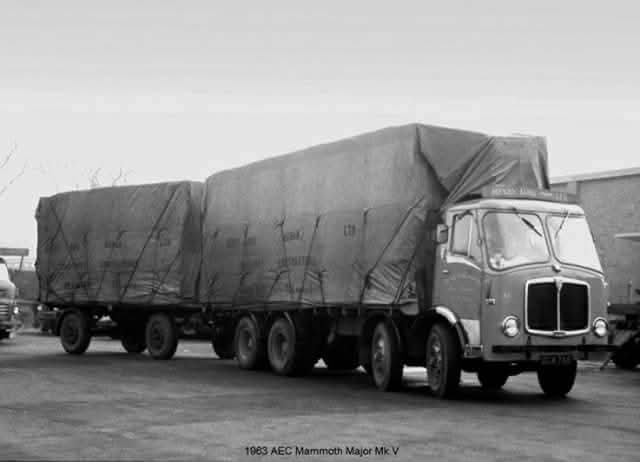 FB_IMG_1761293187528