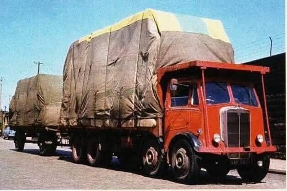 FB_IMG_1761065953482