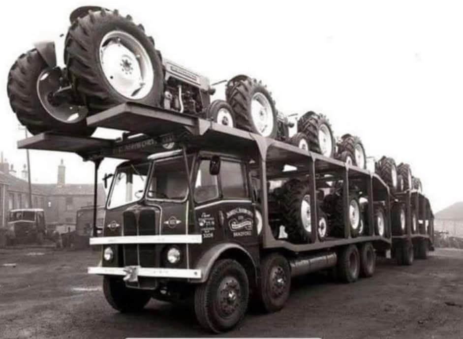 FB_IMG_1761478192737