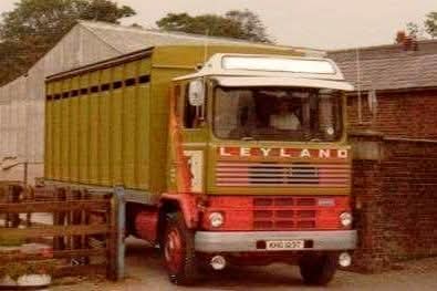 FB_IMG_1760618094871