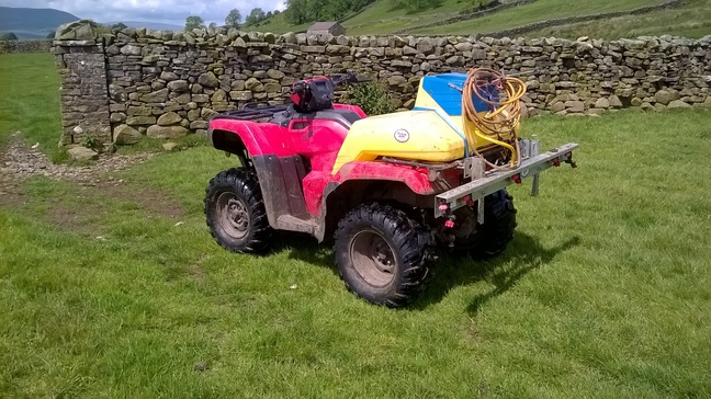 WP_20190616_002.jpg