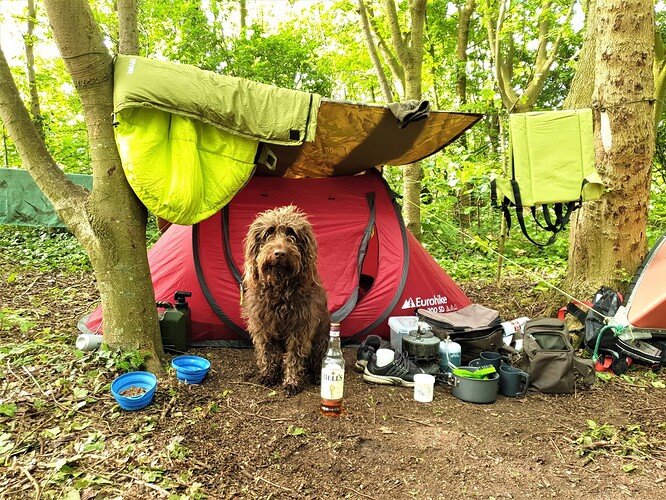 65660854_10157700574895715_5320430479252389888_n