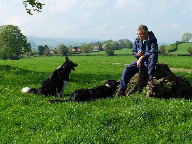 740078_10152797743219348_3006443760007142903_o