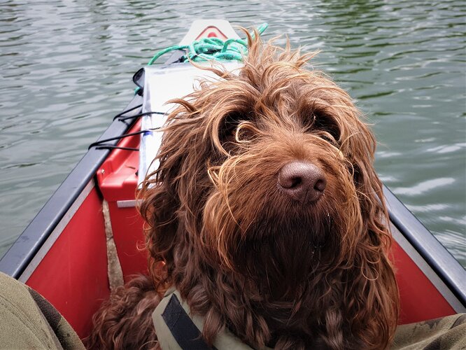 65597271_10157700570680715_4313438262417948672_n