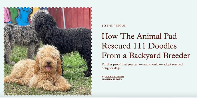 Screen Shot 2023-01-24 at 7.23.17 PM