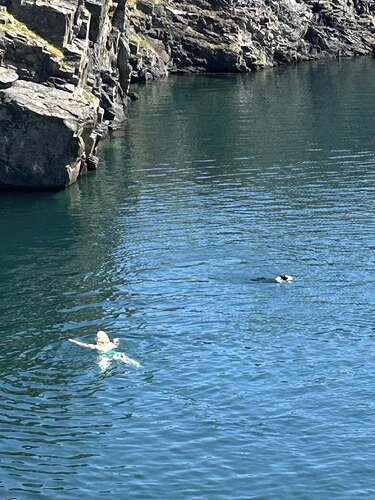 SWIMMING WITH A DOG IN EASDALE