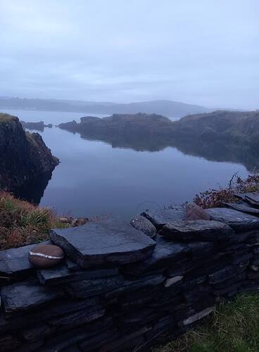 easdale back garden