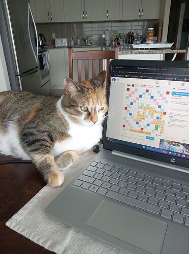Lucy in Canada