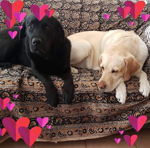 FB_IMG_1592395724241