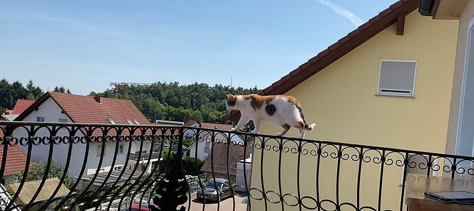 IMG_1216