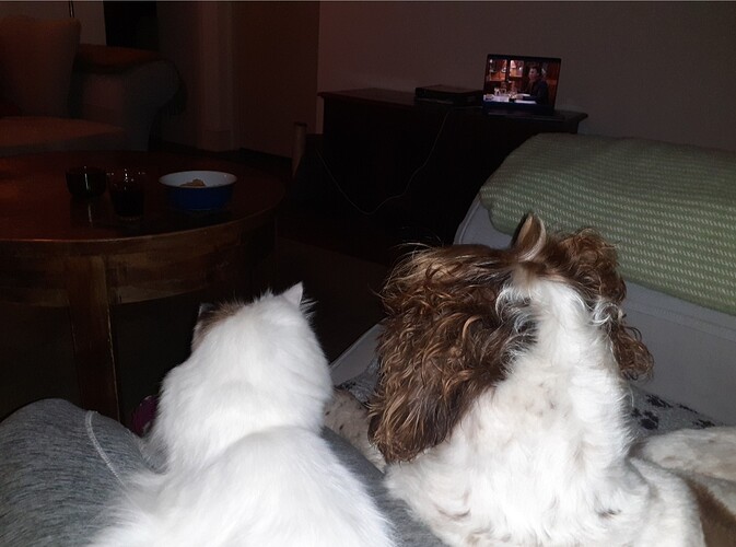 Screenshot_20251030_134737_Gallery