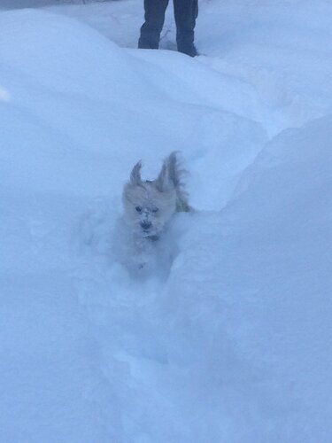 X0aFIVD0TcqTxttfUw3meQ