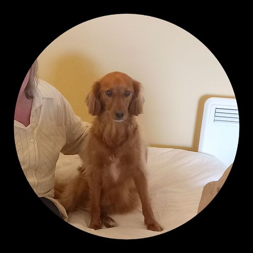 grinn on bed