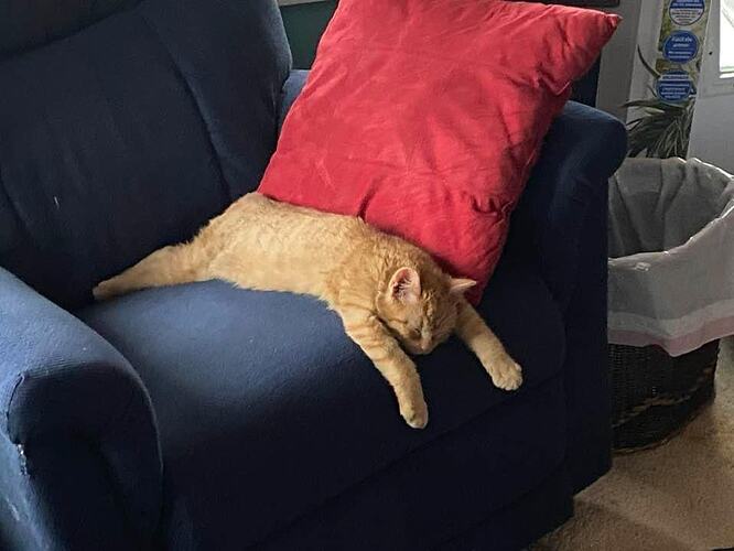 0
