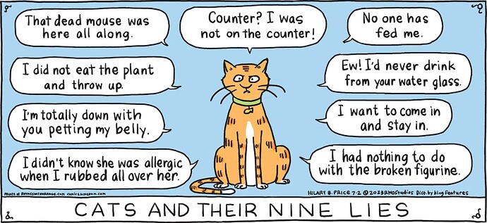 NINE LIES