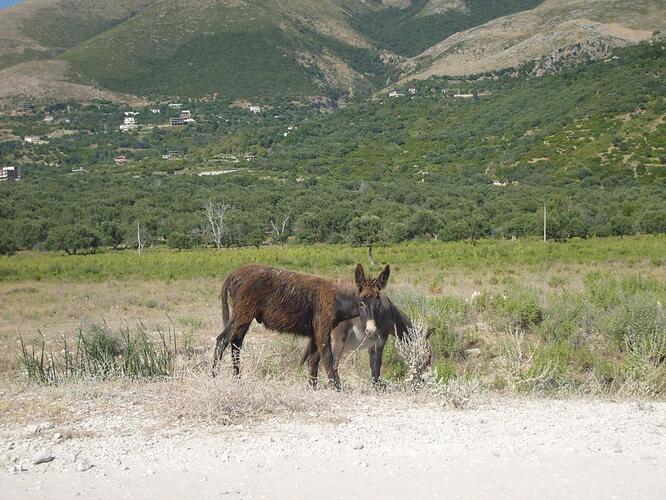 Borsh strandbezoek.jpg
