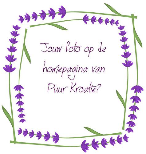 jouw foto op de hpagina-fotowedstrijd.jpg
