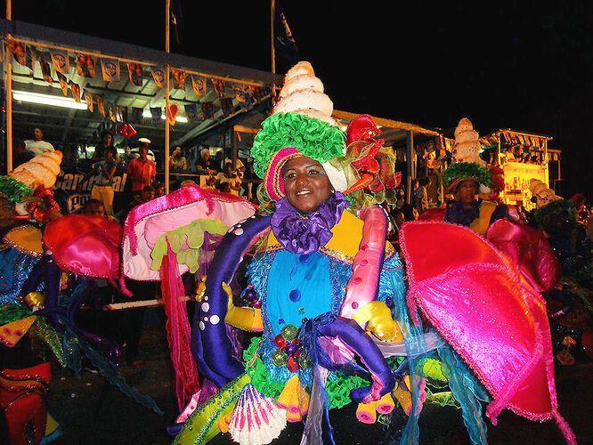 Carnavals optocht .jpg