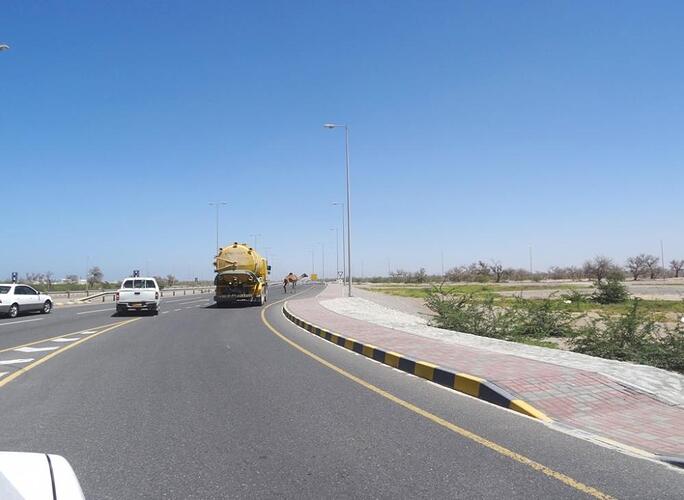 Oman - tegenligger.jpg