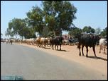 Gambia 2013 205.jpg