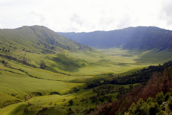 bromo-savanna.jpg