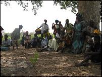 vrouwen communitygarden Gambia.jpg
