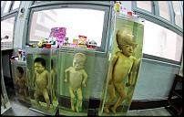 Forensic museum Siriraj Hospital 16 Mar 2013 (2).jpg