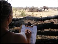 2 Week Special_Natuurbehoud_Zuid-Afrika.jpg