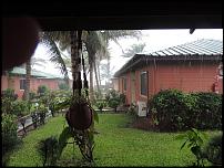 Gambia september 2013 010.jpg