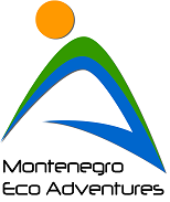 OFFICIAL LOGO MINI.png