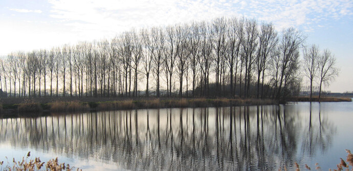 1 (2) Waar de Blokkreek en de Hollandersgatkreek elkaar kussen in Kantijne.jpg