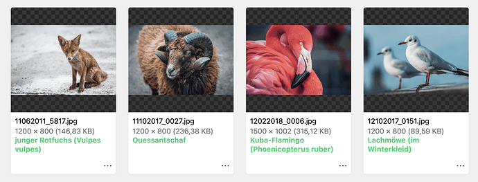 metainfo