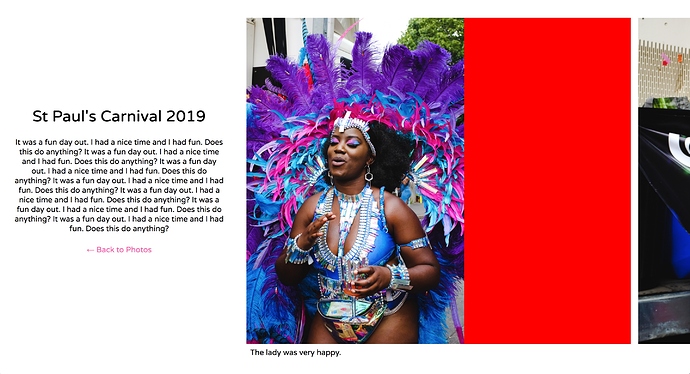 Window_and_St_Paul_s_Carnival_2019___SIMON_PANRUCKER