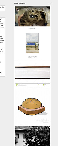 Bildschirmfoto 2021-01-12 um 17.40.52