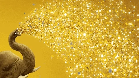 Celebrate New Year GIF by San Diego Zoo