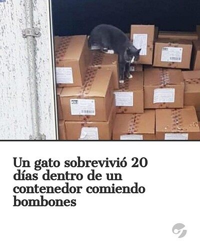 FB_IMG_1747278569269