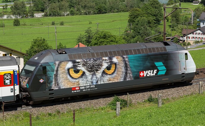 SBB_Re_460_105_VSLF_Erstfeld