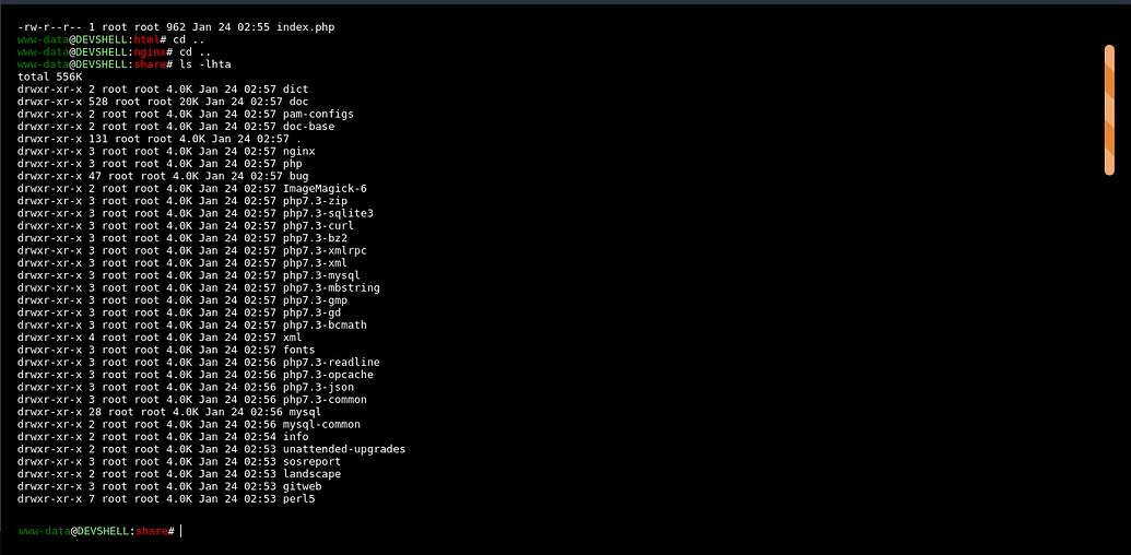 PHP Web Shell - Exploits - Hack The Box :: Forums
