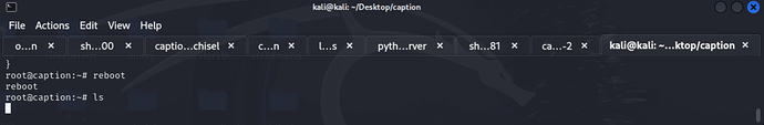 root verify