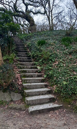 Screenshot_20250131-175241_Gallery