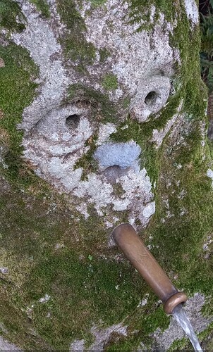 Screenshot_20250131-175140_Gallery