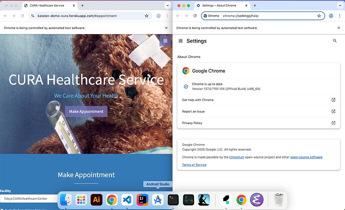 10.2.0_Chrome_branded