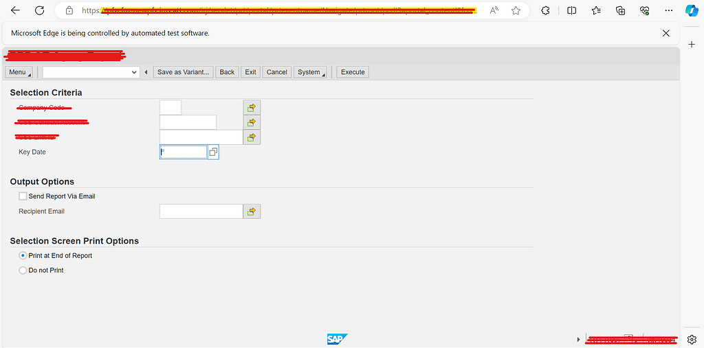 SAP NetWeaver Portal/iframe_Capture object_isolatedWorkArea' was broken