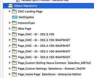 Screen Shot 2021-01-28 at 10.19.17 AM